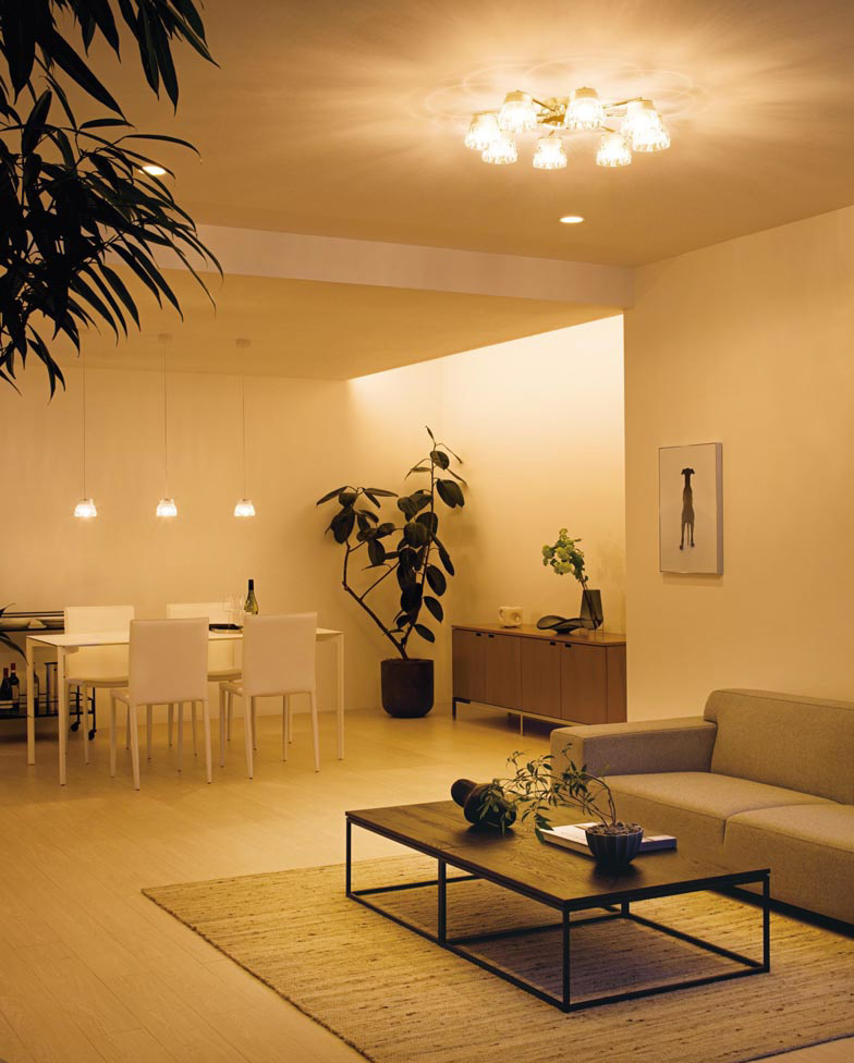 ODELIC オーデリック シャンデリア OC257137LR | 商品紹介 | 照明器具