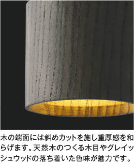 Koizumi コイズミ照明 ペンダント AP53980 | 商品紹介 | 照明器具の