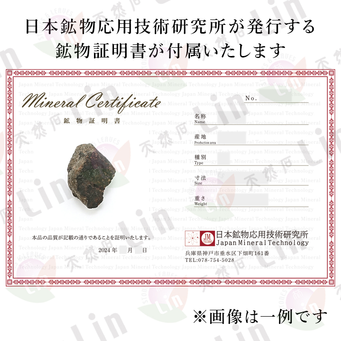 火星 宇宙 ギャラクシー 星 石質隕石 西サハラ モロッコ コンドライト