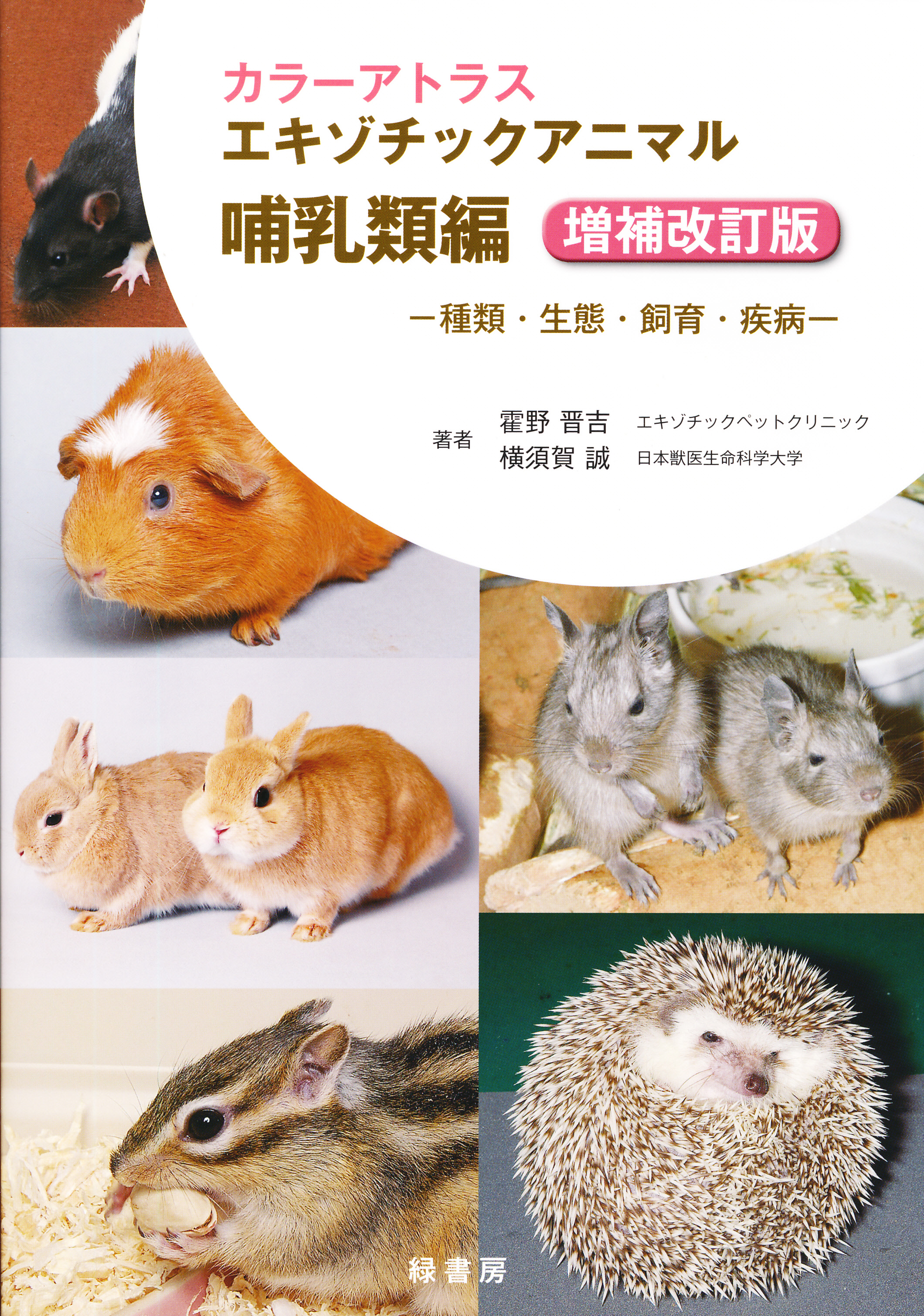 商品詳細ページ | メディカルブックセンター