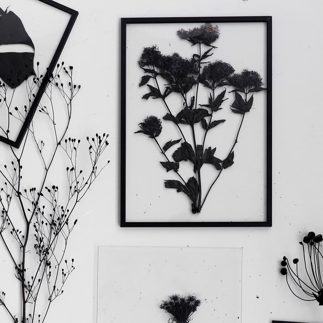 Moebe フレーム A5 ブラック(A5 ブラック)：ポスター & アーティスト