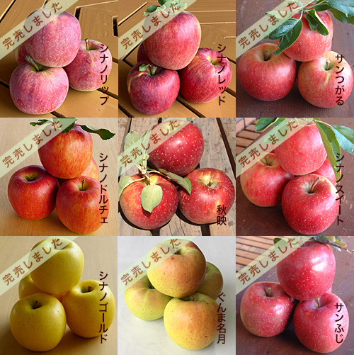 松井農園 - りんご特選品 10Kg箱入