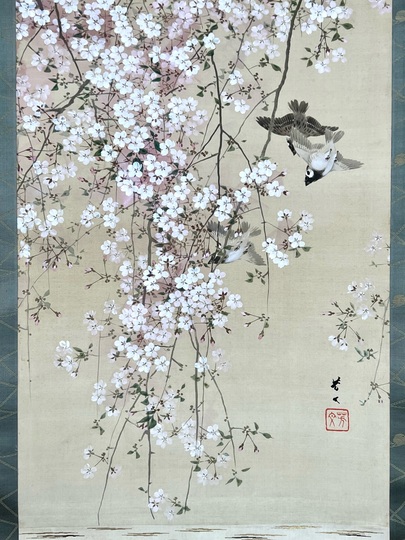 菊池芳文 枝垂桜群雀｜古美術・掛け軸の販売・買取・鑑定-松本松栄堂