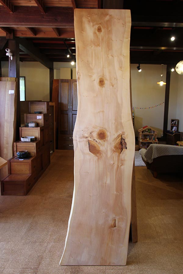 神奈川県 海老名店展示 栓（せん）材 一枚板 テーブル用天板 セール