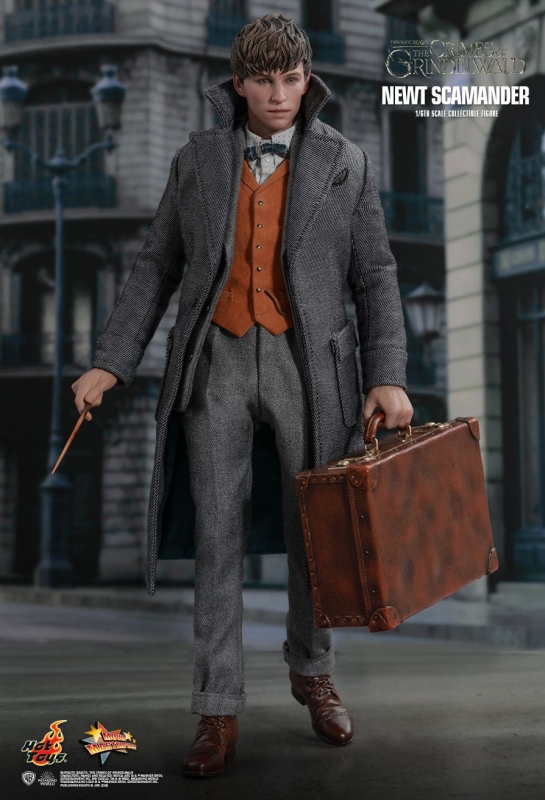 Fantastic Beasts : The Crimes Of Grindelwald - Newt Scamander Hot