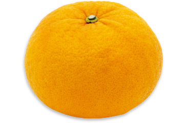 特集1 みかん(4)：農林水産省