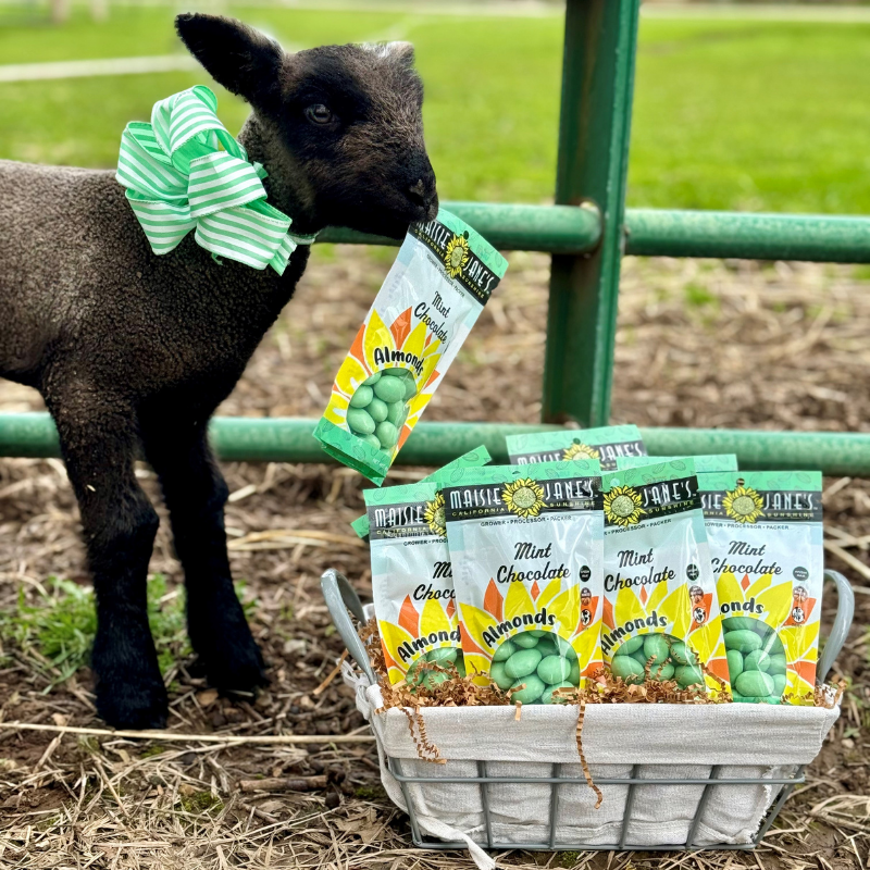 Mint Chocolate Almonds – Maisie Jane's