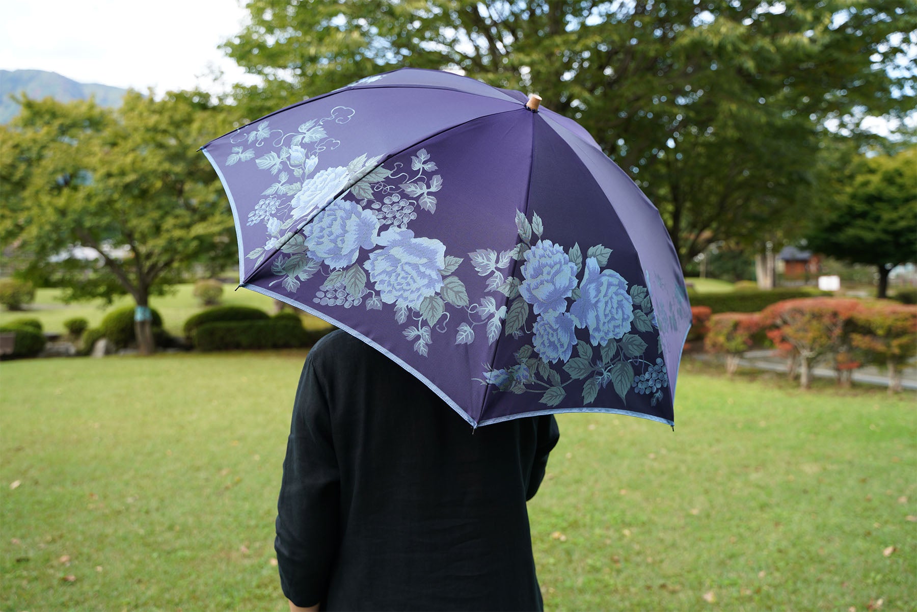 DSC02446_1800.jpg?v=1731310102