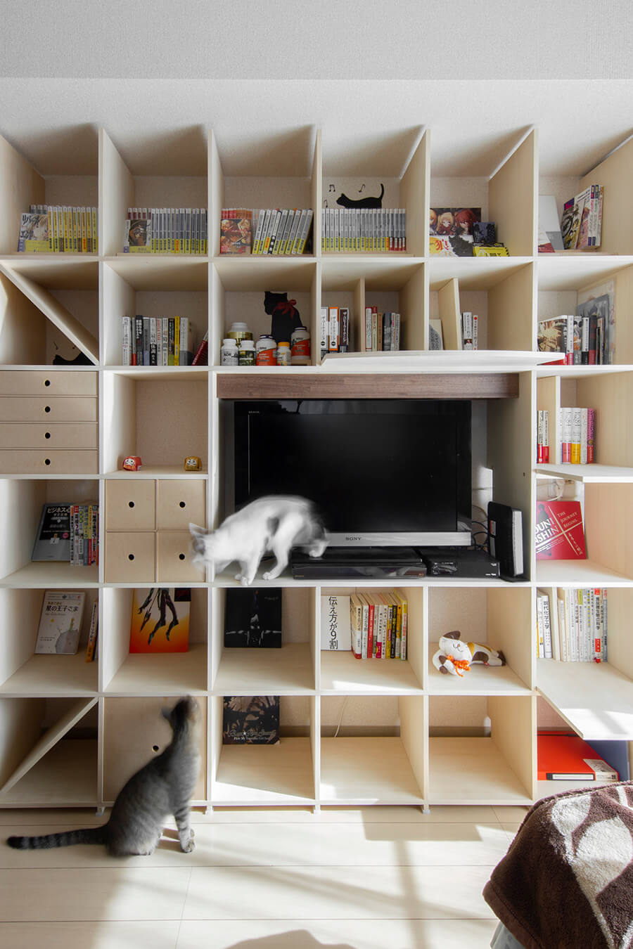猫が遊べる棚・キャットウォーク付きのおすすめ本棚10選！実例もご紹介