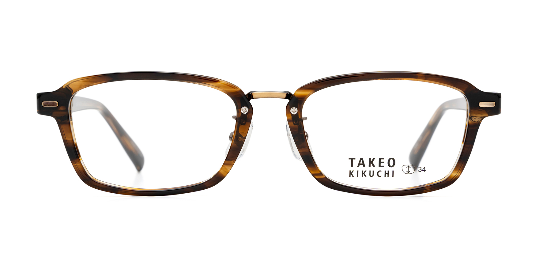 アオメガネトリバネアゲハ♂標本☆ブーゲンビル島産☆114mm PNG入手