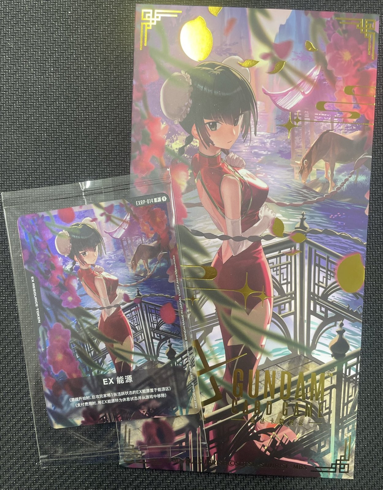 リソース【中国語版EXリソース〈王留美〉】/P【-】《EX RESOURCE