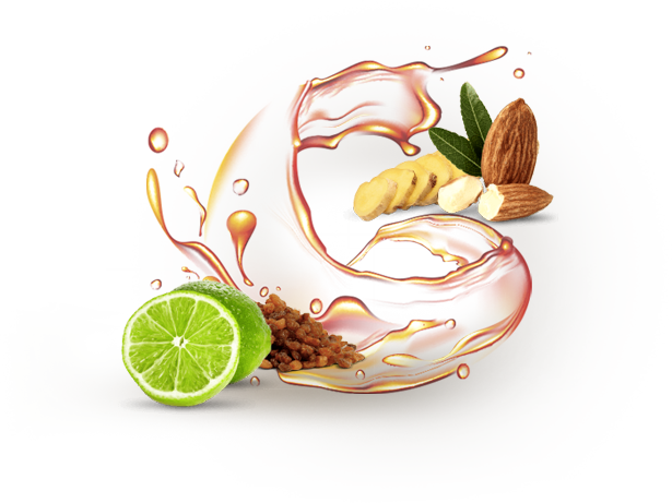 グレンモーレンジィのラインナップ | グレンモーレンジィ スペシャル