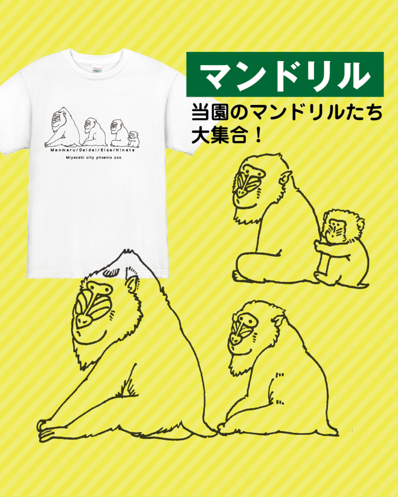 動物園オリジナルTシャツ Web販売開始！ | 宮崎市フェニックス自然