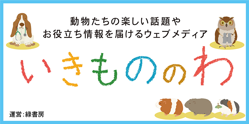 思考プロセスを習得する犬と猫のX線読影 株式会社 緑書房