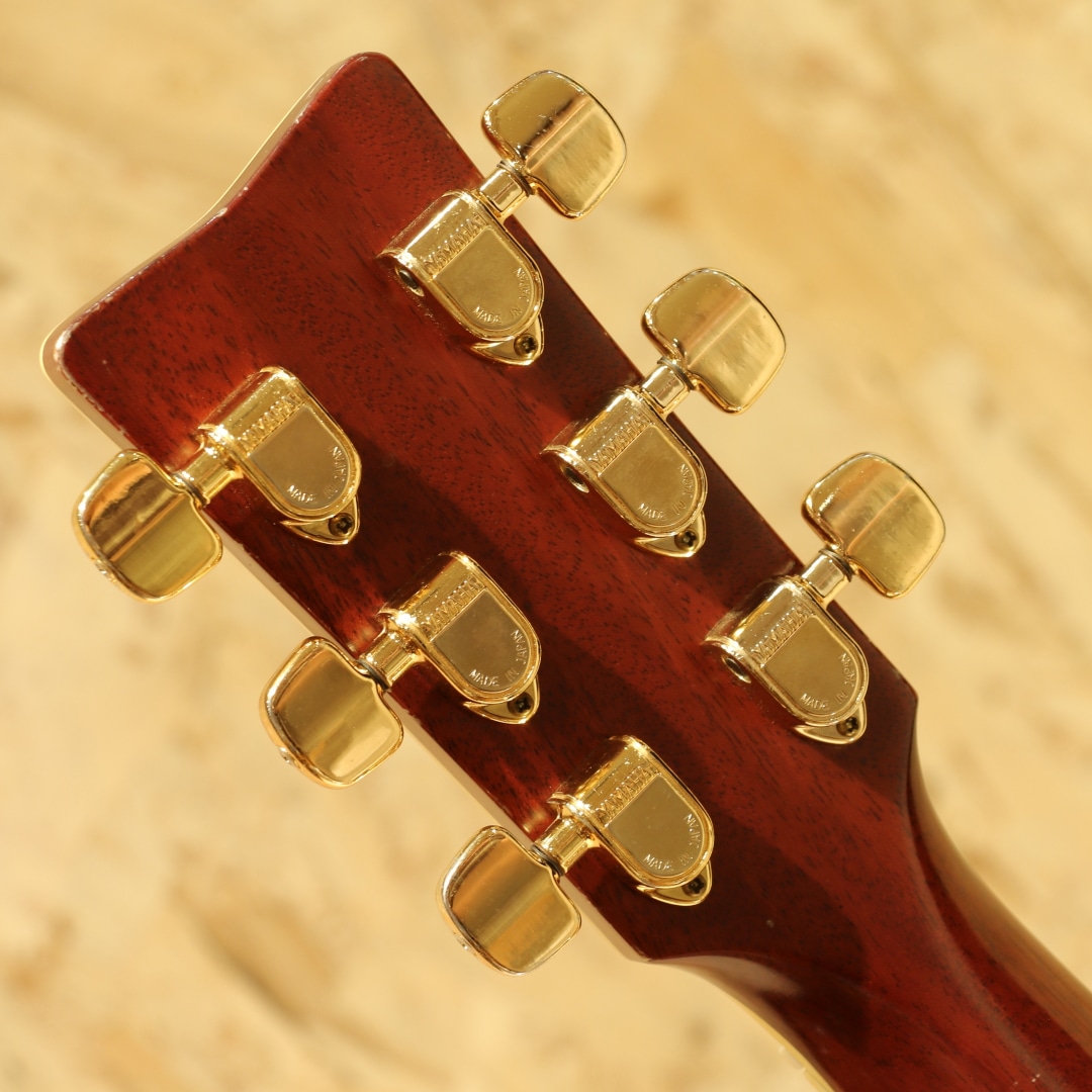 L-55 Jacaranda 1980: アコースティックギター｜三木楽器公式通販サイト