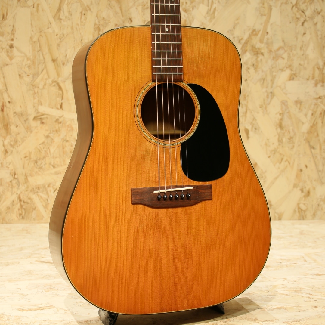 MARTIN（マーティン）ギター 一覧 | 三木楽器公式通販サイト(並び順