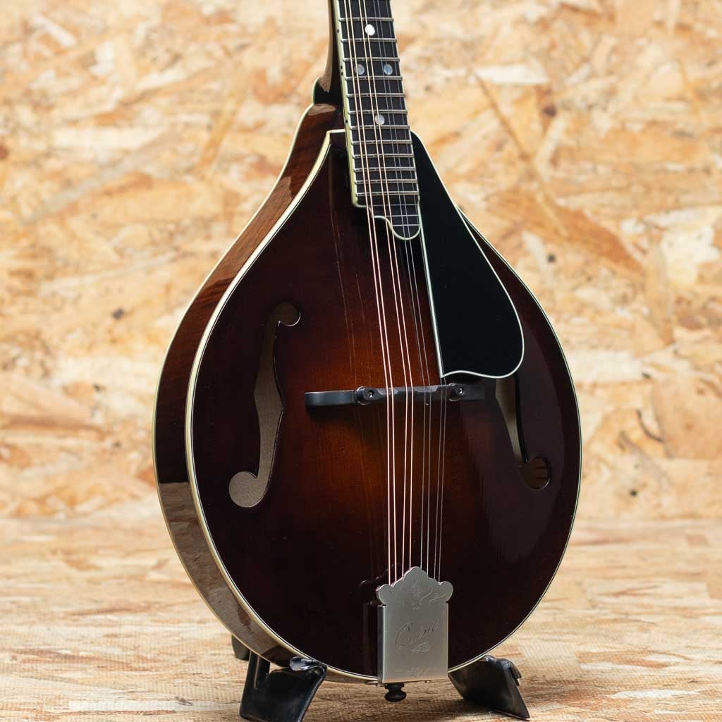 Mandolin（マンドリン）一覧 | | 三木楽器公式通販サイト(並び順：安い