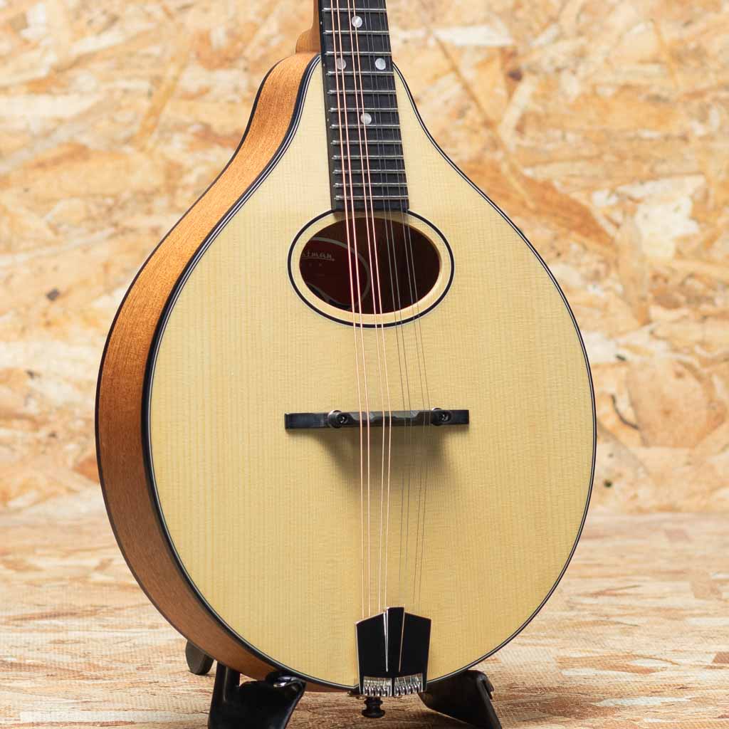 Flat Mandolin（フラットマンドリン）一覧 | | 三木楽器公式通販サイト