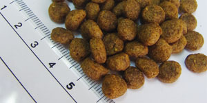 フィッシュ4ドッグ サーモン 小粒 【送料無料】｜みんなのペット健康専門店