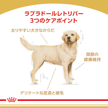 ロイヤルカナン BHN ラブラドールレトリバー （成犬～高齢犬用