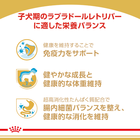 ロイヤルカナン BHN ラブラドールレトリバー パピー（子犬用） 【送料