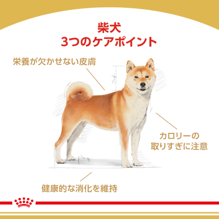 ロイヤルカナン BHN 柴犬 （成犬用） 【送料無料】｜みんなのペット