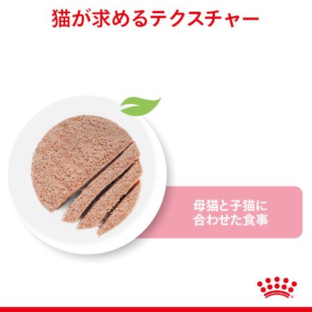 ロイヤルカナン FHN-WET マザー＆ベビーキャット（子猫・母猫用