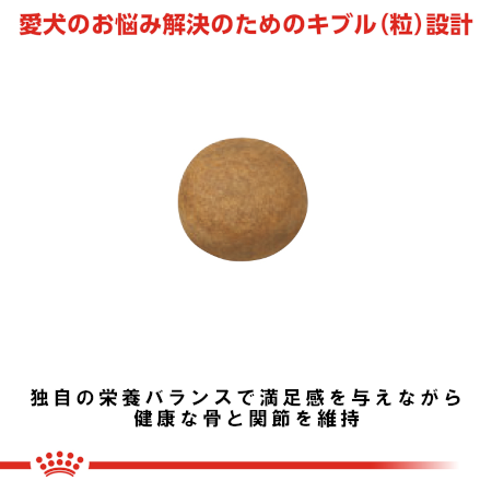 ロイヤルカナン SHN マキシ アダルト （成犬用） 【送料無料