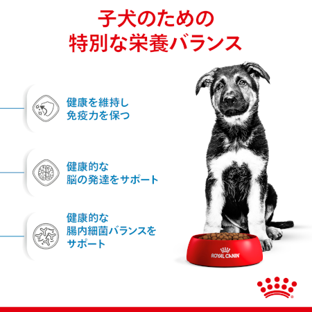 ロイヤルカナン SHN マキシ パピー（子犬用） 【送料無料】｜みんなの