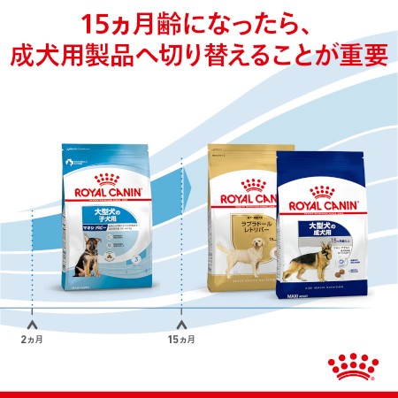ロイヤルカナン SHN マキシ パピー（子犬用） 【送料無料】｜みんなの