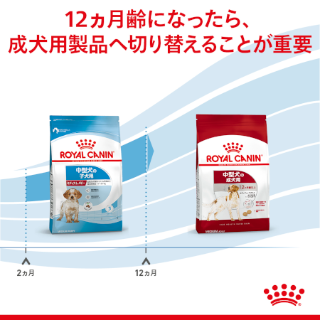 ロイヤルカナン SHN ミディアム パピー（子犬用） 【送料無料