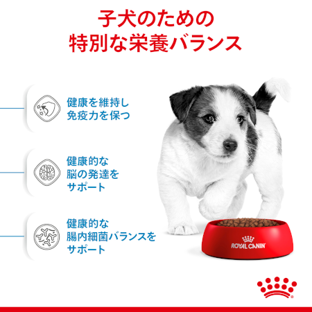 ロイヤルカナン SHN ミニ パピー（子犬用） 【送料無料】｜みんなの