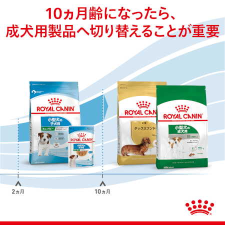ロイヤルカナン SHN ミニ パピー（子犬用） 【送料無料】｜みんなの