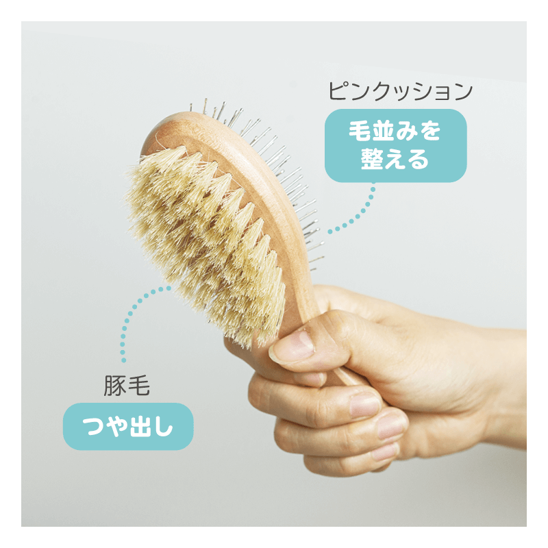 スーパーキャット おウチ・クチュール 豚毛クッションブラシ 【初回