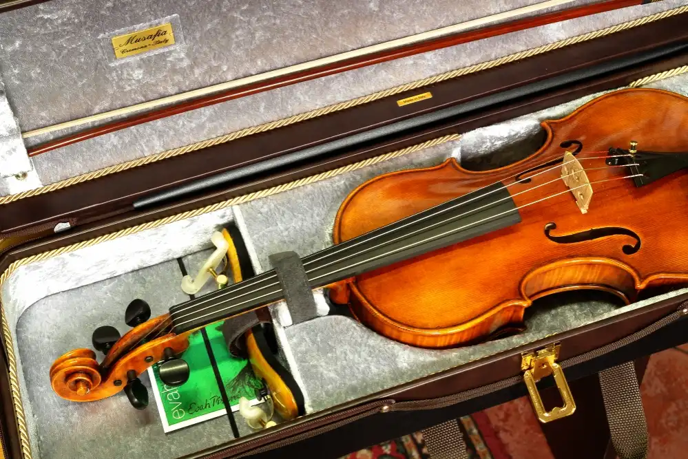 Lievissima case | Musafia Cremona Italy