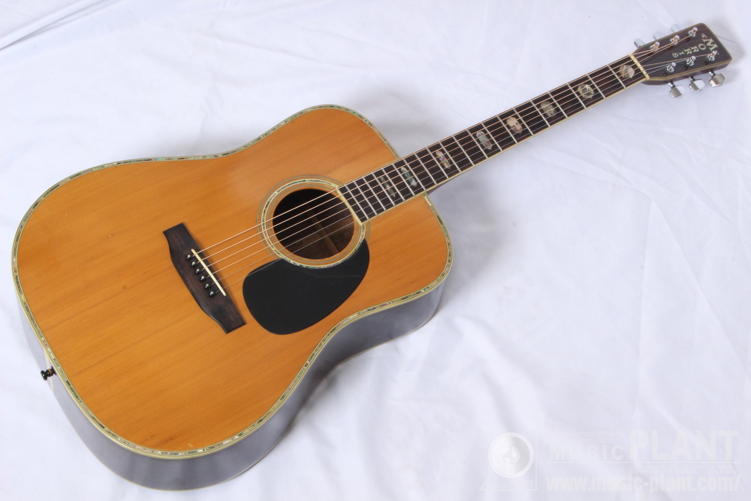 Morris アコースティックギターSpecial W-80中古品()売却済みです