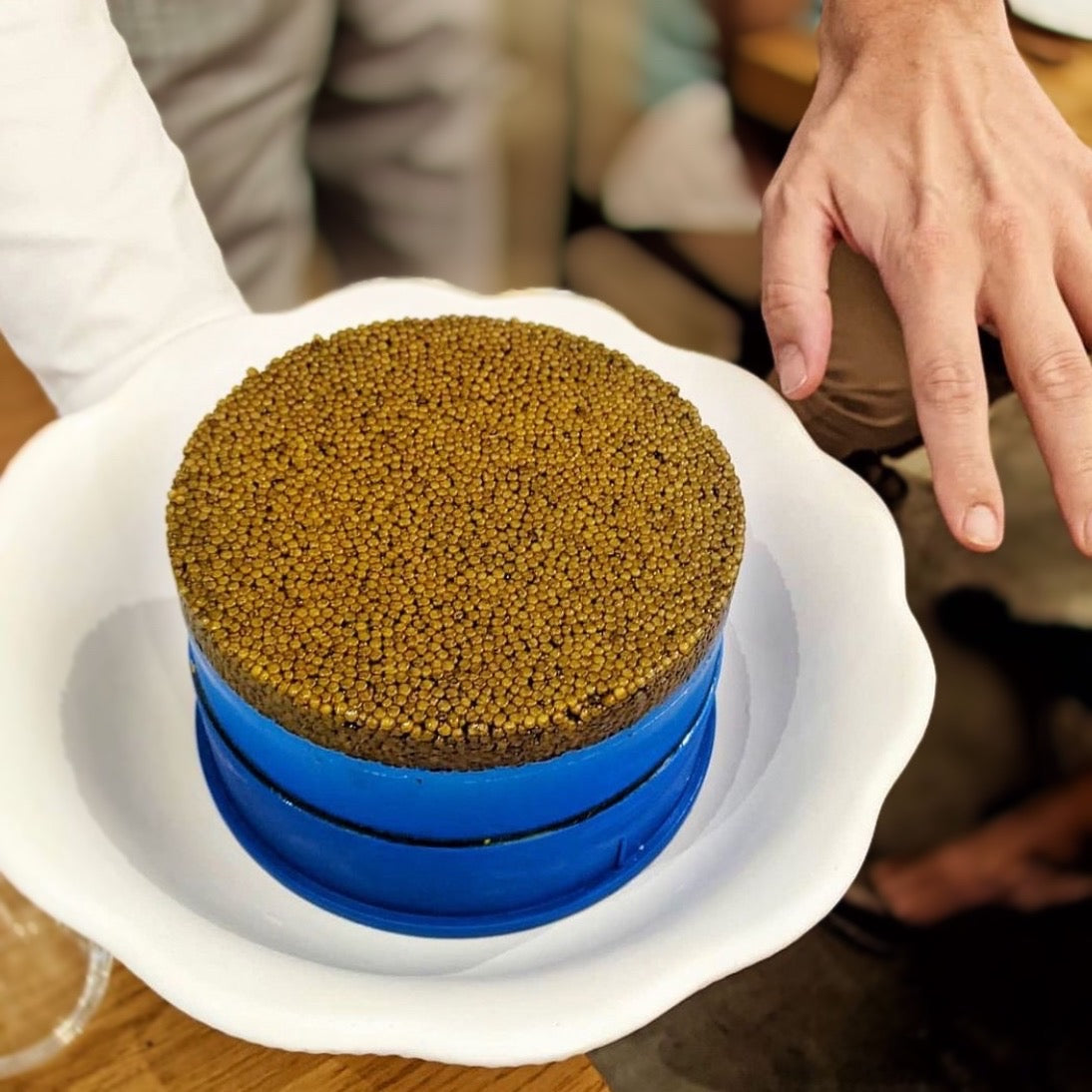 キャビア専用シェルスプーン – N25キャビア公式オンラインストア