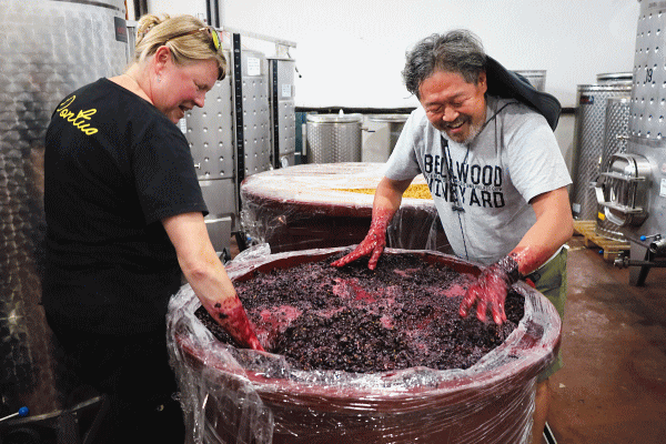 KAZU WINE｜藤巻一臣｜奈良の地酒屋 登酒店