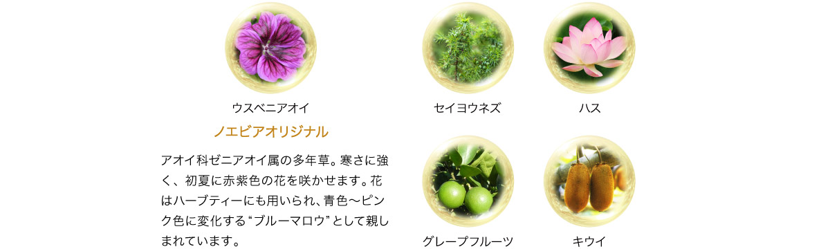 ビタミンACEと植物エキスを配合し、ノエビアが独自に開発した多重層