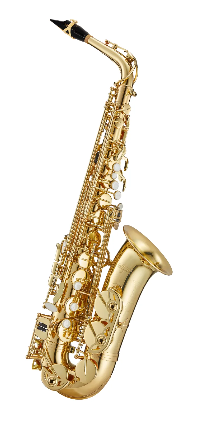 スタンダード ｜ Antigua