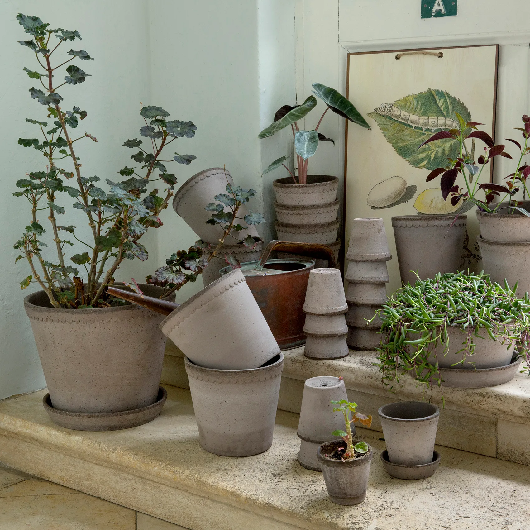 Bergs Potter | バーグスポッター からのHelena 植木鉢 18 cm