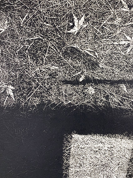 中林忠良版画「転位'86 地III」 | Natsume Books