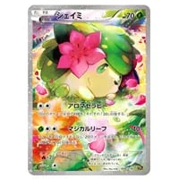 イベルタルEX [幻・伝説 ドリームキラコレクション] CP5 037/036 買取