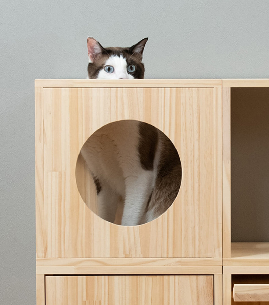 BT05-42-P_02_1000x1000.jpg?v=