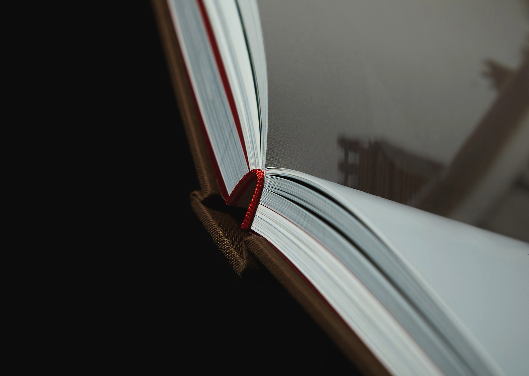 NICENESS | Official Website