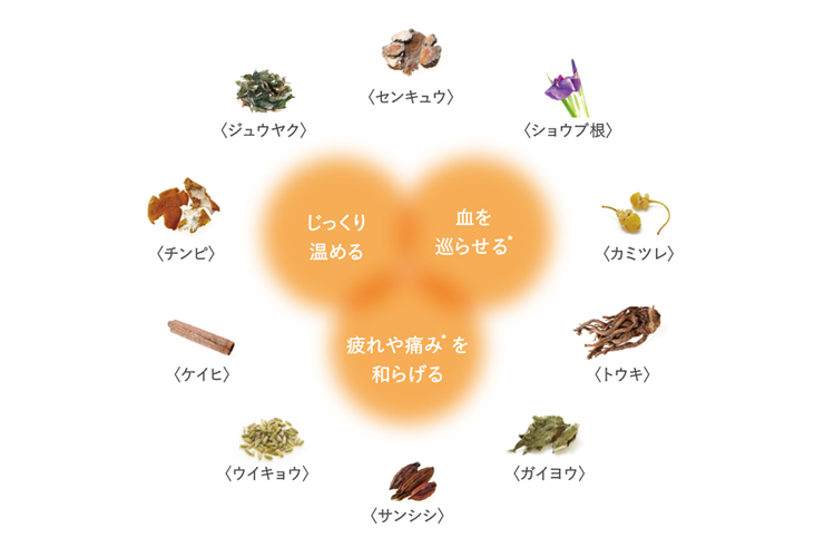 薬用入浴剤 和漢薬湯（医薬部外品）17の薬効 生薬10種で冷え・肩こり