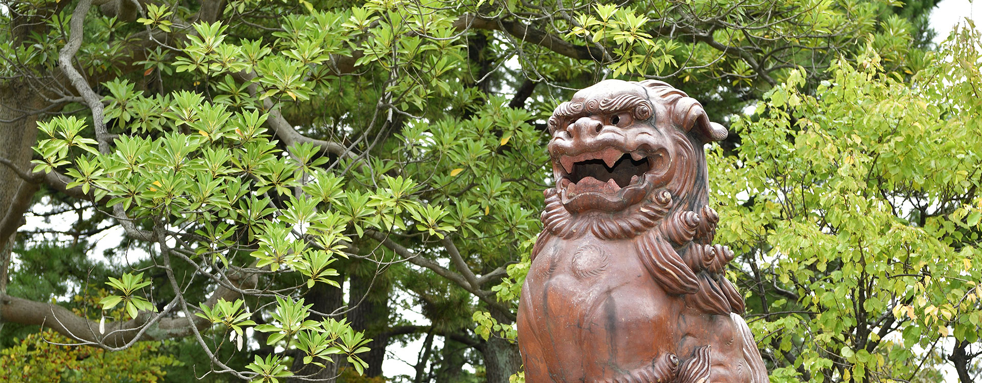 境内社のご案内｜白山神社について｜新潟総鎮守 白山神社