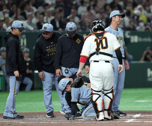 4/9 甲子園開幕14:00～阪神vs広島戦 1塁側SMBCシート 2