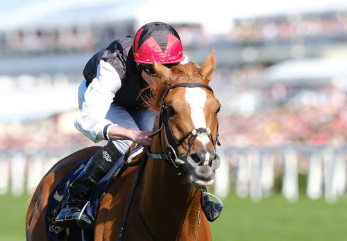 初年度種付け料は90万円！G1・8勝、20馬身差Vの欧州最強ステイヤーが