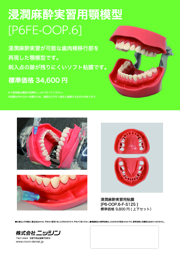 NISSIN ニッシン 顎模型 歯科衛生士 デンタルモデル 頬粘膜模型付き